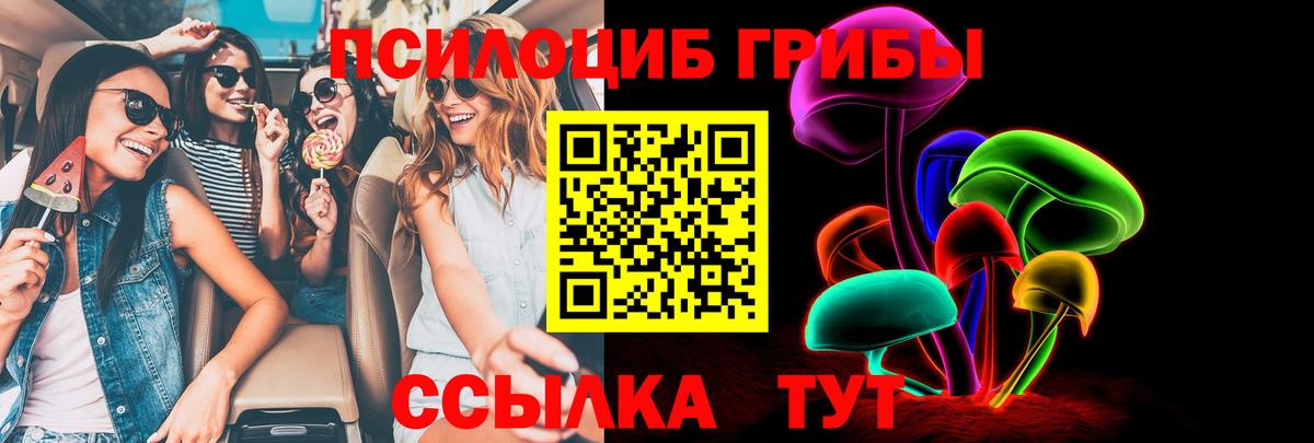 Псилоцибиновые грибы мицелий  Псилоцибиновые грибы GOLDEN TEACHER  Биробиджан  Вход с VPN 